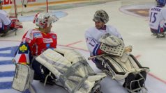 Čeští sledge hokejisté při přípravě na mistrovství světa
