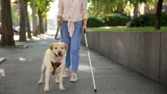 Nevidomá žena se psem