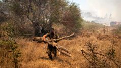 Dobrovolníci na ostrově Rhodos kácí stromy, aby zabránili šíření požáru