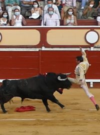 Španělské ministerstvo kultury se rozhodlo letos neudělit národní cenu býčích zápasů (ilustrační foto)